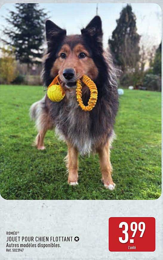 ROMÉO® JOUET POUR CHIEN FLOTTANT