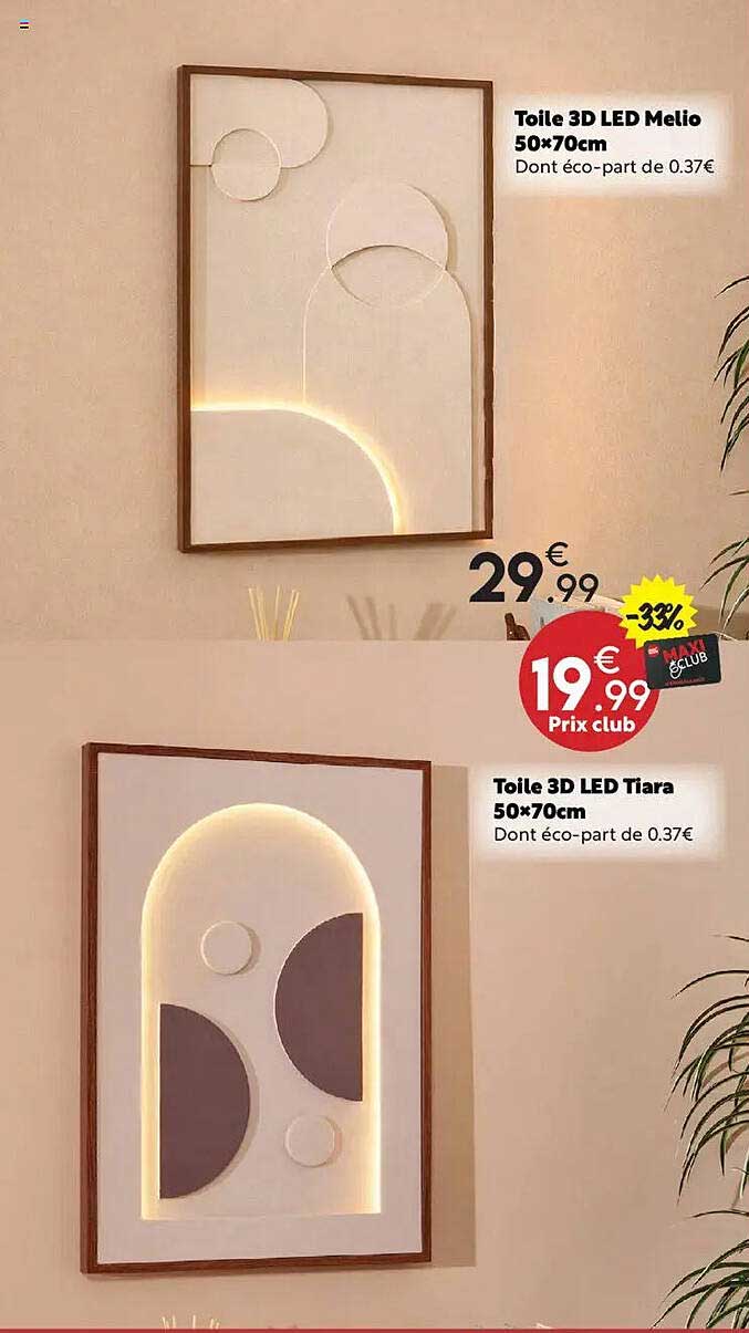 Toile 3D LED Melio 50x70cm