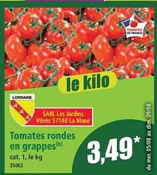 Tomates rondes en grappes
