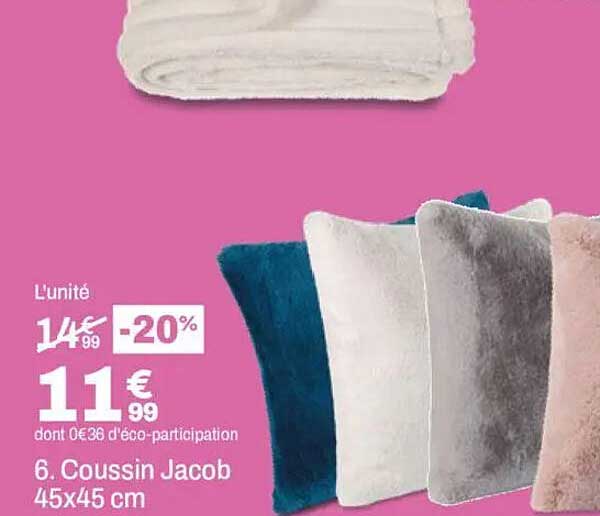 6. Coussin Jacob 45x45 cm