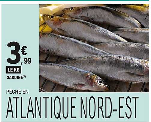 PÊCHÉ EN ATLANTIQUE NORD-EST