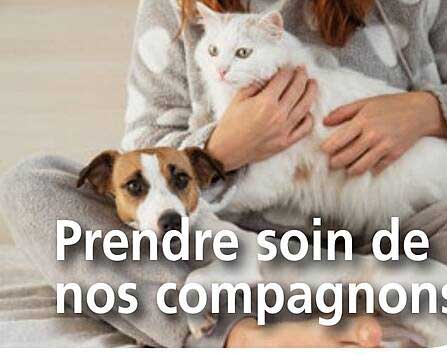 Prendre soin de nos compagnons