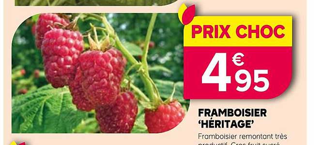 PRIX CHOC