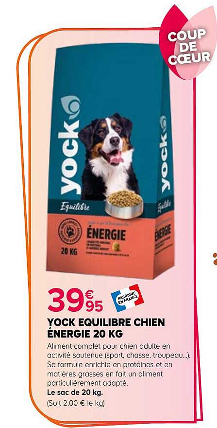 YOCK EQUILIBRE CHIEN ÉNERGIE 20 KG