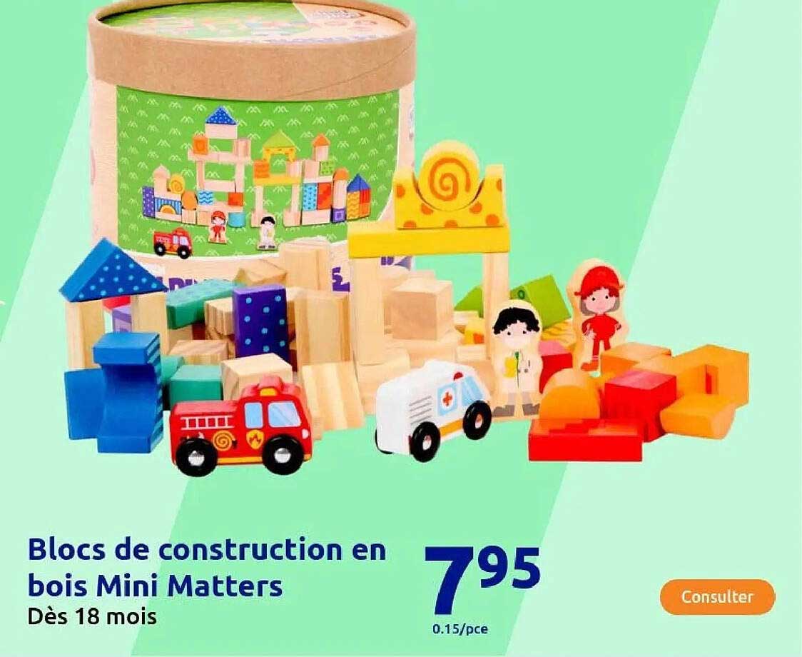 Blocs de construction en bois Mini Matters
