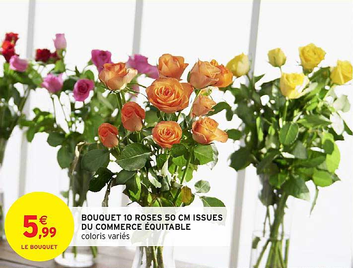 Bouquet 10 roses 50 cm issues du commerce équitable