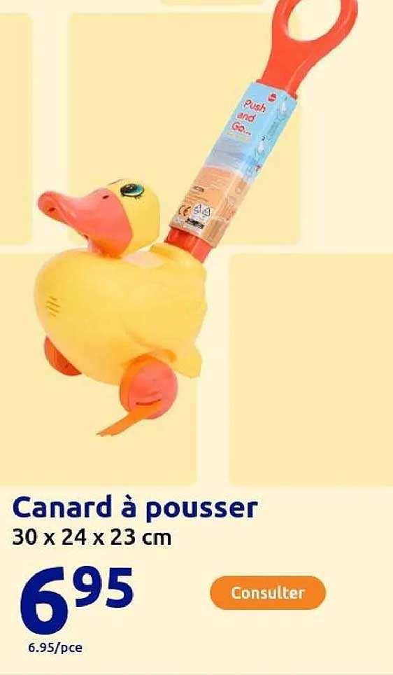 Canard à pousser