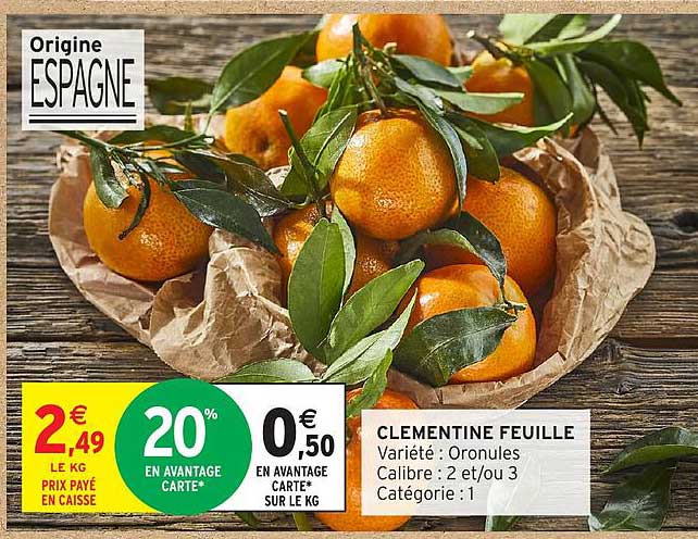 CLEMENTINE FEUILLE