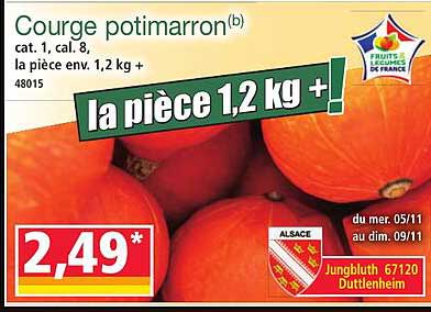 Courge potimarron