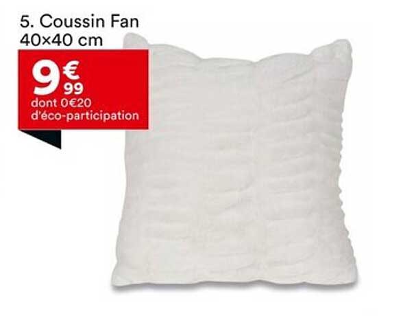 Coussin Fan 40x40 cm