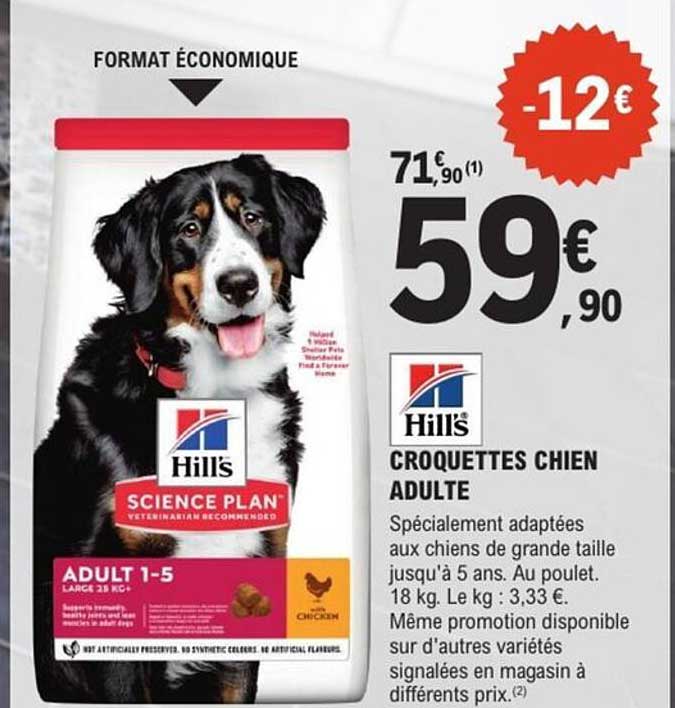 CROQUETTES CHIEN ADULTE