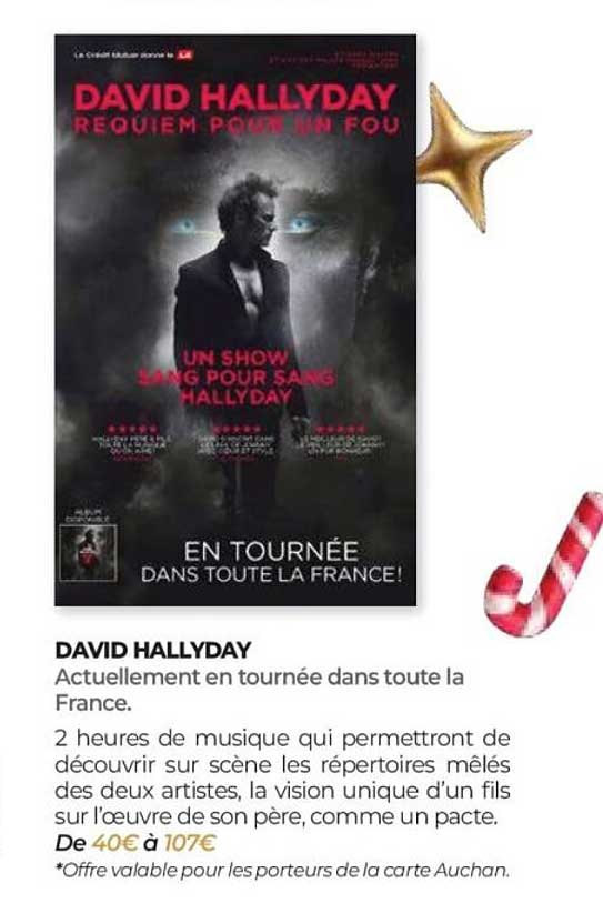 DAVID HALLYDAY