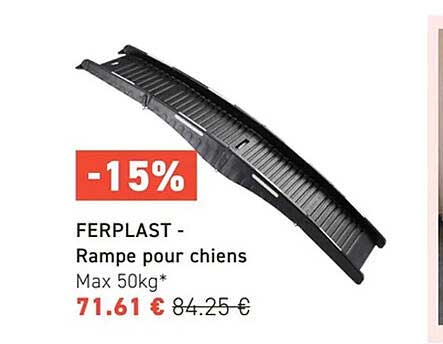 FERPLAST - Rampe pour chiens