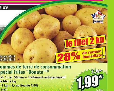 Pommes de terre de consommation spécial frites "Bonata"