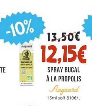 SPRAY BUCAL À LA PROPOLIS
